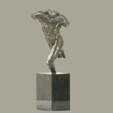 Sculpture intitulée "Liberation" par Willem Botha, Œuvre d'art originale, Bronze