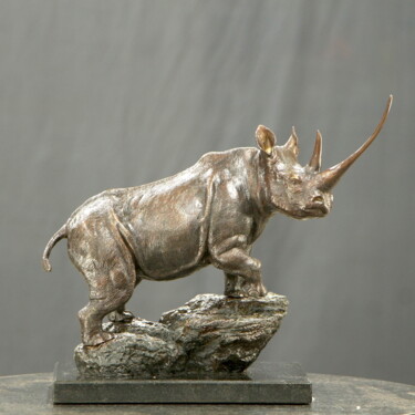 Sculpture titled "Waiwai, Black Rhino" by Willem Botha, Original Artwork, Bronze
