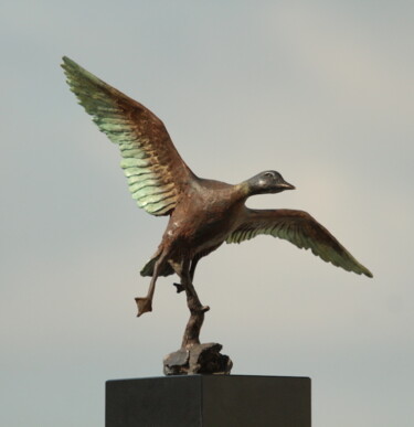 Sculptuur getiteld "Duck in the wind" door Willem Botha, Origineel Kunstwerk, Bronzen