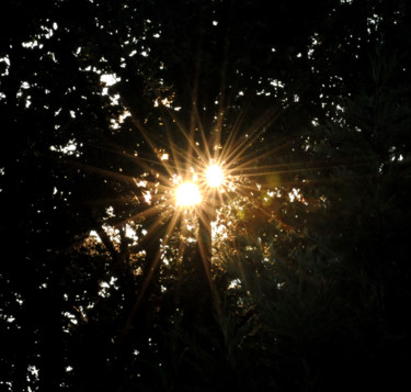 "Sunburst.jpg" başlıklı Fotoğraf William Olexik tarafından, Orijinal sanat, Dijital Fotoğrafçılık