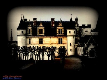 Photographie intitulée "chateau amboise" par Willy Dieu, Œuvre d'art originale