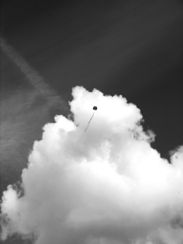 Photographie intitulée "Le cerf-volant ami…" par Wilmer Sanchez, Œuvre d'art originale