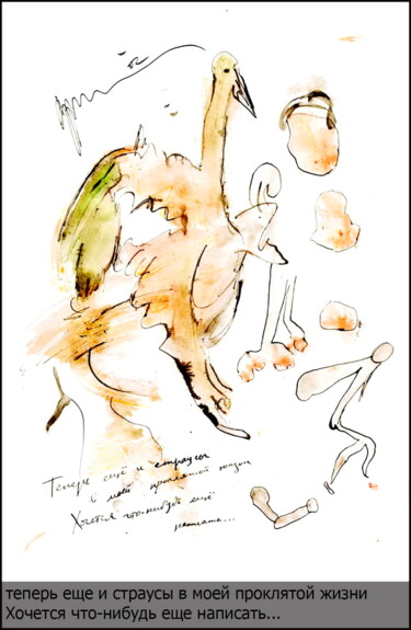 Disegno intitolato "Now also the ostric…" da Dima Wilms, Opera d'arte originale, Gouache