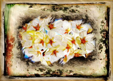 Digital Arts titled "цветы   flowers 17" by Dima Wilms, Original Artwork, 2D Digital Work