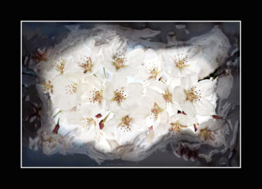 Arts numériques intitulée "цветы   flowers 6" par Dima Wilms, Œuvre d'art originale, Travail numérique 2D