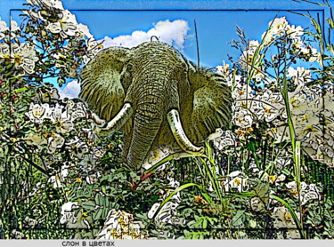 Digitale Kunst getiteld "слон  elephant  4" door Dima Wilms, Origineel Kunstwerk, 2D Digital Work