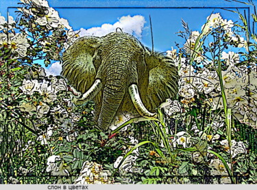 Arte digital titulada "слон  elephant  4" por Dima Wilms, Obra de arte original, Trabajo Digital 2D