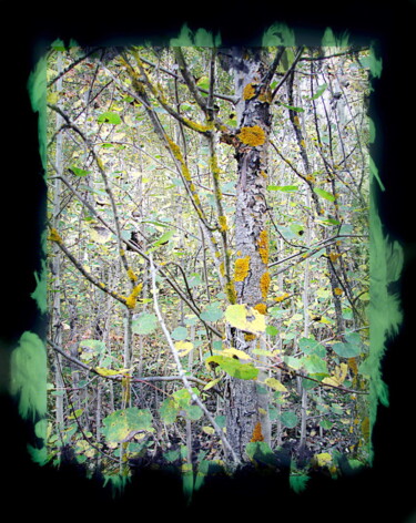 Digitale Kunst mit dem Titel "пейзаж  landscape 6…" von Dima Wilms, Original-Kunstwerk, 2D digitale Arbeit
