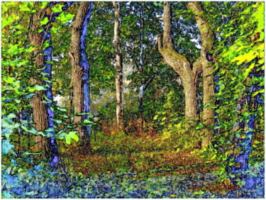 Arts numériques intitulée "пейзаж  landscape 6…" par Dima Wilms, Œuvre d'art originale, Photographie manipulée
