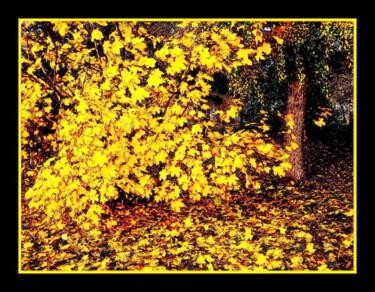 数字艺术 标题为“осень autumn 1” 由Dima Wilms, 原创艺术品, 操纵摄影