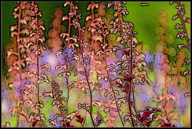 Digitale Kunst mit dem Titel "цветы   flowers 1 ьг" von Dima Wilms, Original-Kunstwerk, Manipulierte Fotografie