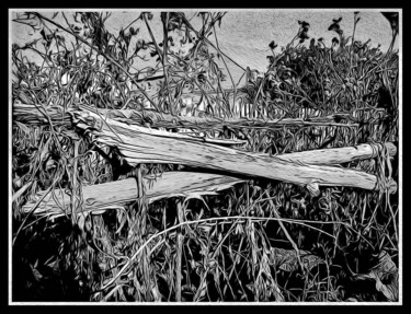 Arts numériques intitulée "чаща  The thicket" par Dima Wilms, Œuvre d'art originale, Photographie manipulée