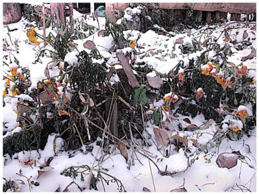 Цифровое искусство под названием "первый снег  first…" - Dima Wilms, Подлинное произведение искусства, Манипулированная фото…