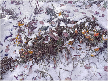 Arts numériques intitulée "первый снег  first…" par Dima Wilms, Œuvre d'art originale, Photographie manipulée
