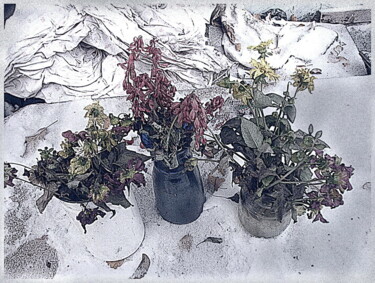 Arte digital titulada "цветы   flowers 1ацй" por Dima Wilms, Obra de arte original, Fotografía manipulada