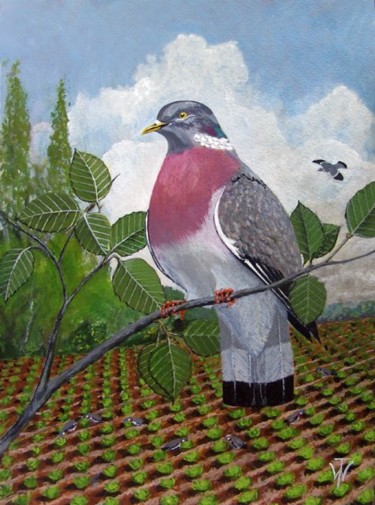 Painting titled "Wood Pigeon" by Wilt, Original Artwork, Oil