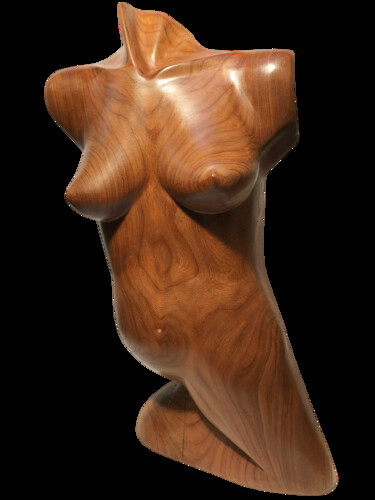 Sculpture titled "the perfect shape" by Wim Van Mossevelde, Original Artwork, Wood