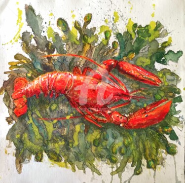 Schilderij getiteld "Lobster on seaweed" door Wimvandewege, Origineel Kunstwerk, Gouache