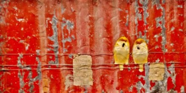 Картина под названием "Two little dicky bi…" - Wittaya Pised, Подлинное произведение искусства, Масло