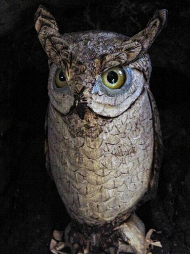 Sculpture titled "wizzard owl" by Jim Calder, Original Artwork, Wood