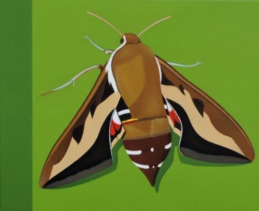 Painting titled "butterfly" by Antoni Janusz Wojnarowski, Original Artwork, Oil