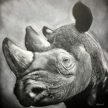 Drawing titled "Rhinocéros" by Wpascal, Original Artwork, Pastel