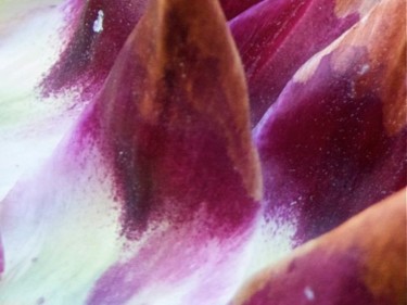 Photography titled "Pétales violets ten…" by Wolf Thiele, Original Artwork, Digital Photography