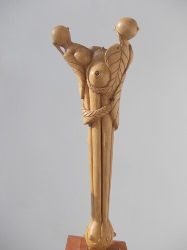 Scultura intitolato "BEREKET" da Hasan Canel, Opera d'arte originale, Legno