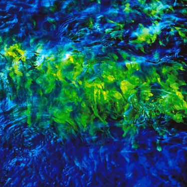 Fotografia intitolato "Submerged 1" da Patrick O'Brien, Opera d'arte originale, Fotografia digitale
