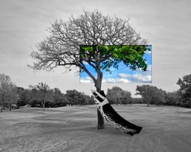 Photography titled "Spring Forecast" by Patrick O'Brien, Original Artwork, Manipulated Photography