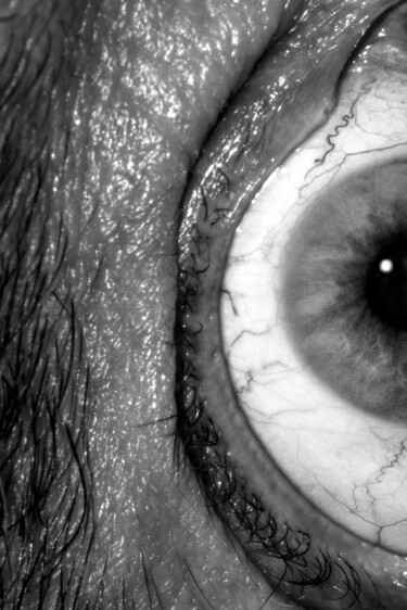 Photographie intitulée "P-eye 3" par Patrick O'Brien, Œuvre d'art originale, Photographie numérique