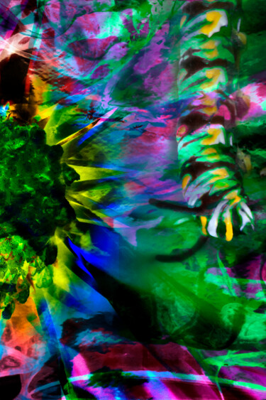 Photographie intitulée "Floral Blend 9" par Patrick O'Brien, Œuvre d'art originale, Photographie numérique