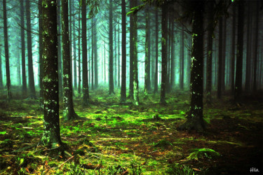 Arts numériques intitulée "Forêt mystique" par Hila, Œuvre d'art originale, Travail numérique 2D
