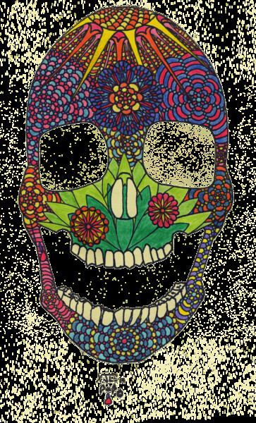 Dessin intitulée "Crâne 01" par Xale, Œuvre d'art originale, Crayon