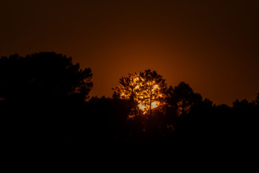 Photography titled "sunset with trees i…" by Xan Gasalla González-Redondo, Original Artwork, Non Manipulated Photography