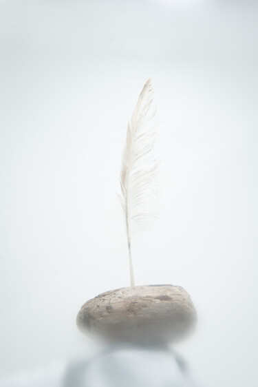 Photographie intitulée "seagull feather nai…" par Xan Gasalla González-Redondo, Œuvre d'art originale, Photographie non mani…