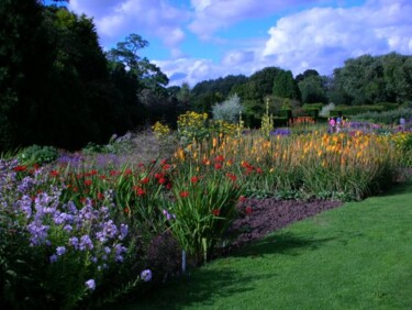 Photography titled "Waterperry Gardens" by Xavier Crepin, Original Artwork