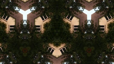 Photography titled "Urban Trees-0092.jpg" by Xavier Crepin, Original Artwork