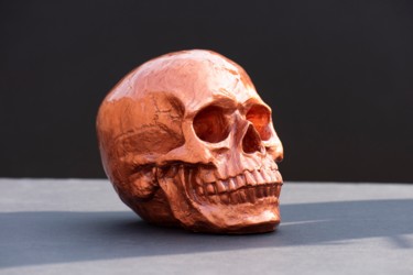 Sculpture intitulée "Skull Doré" par Xavier Wttrwulghe, Œuvre d'art originale, Coulage