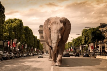 Arts numériques intitulée "Un éléphant à Paris" par Xavier Wttrwulghe, Œuvre d'art originale, Photographie numérique