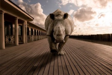 Photographie intitulée "Rhino à Deauville" par Xavier Wttrwulghe, Œuvre d'art originale, Photographie numérique