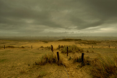 Photography titled "Lande bretonne" by Xavier Cauchy, Original Artwork, Digital Photography