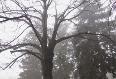 Photography titled "Fog" by Xeyale Bedelova, Original Artwork, Digital Photography