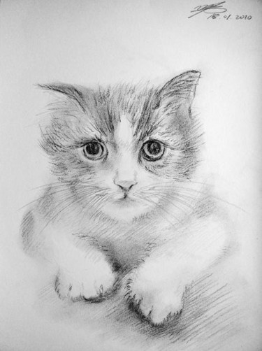 Dessin intitulée "Petit chat" par Wei Mazzolini, Œuvre d'art originale, Autre