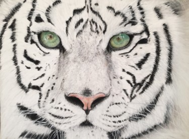 Painting titled "Tigre blanc" by Xuan Mai Ly, Original Artwork, Pastel