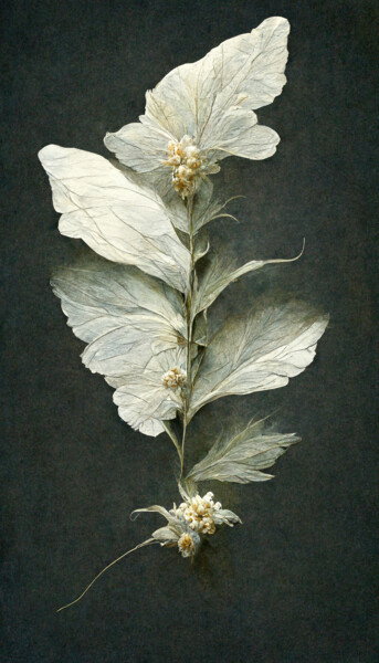 Digitale Kunst mit dem Titel "Herbarium" von Mossart, Original-Kunstwerk, 2D digitale Arbeit