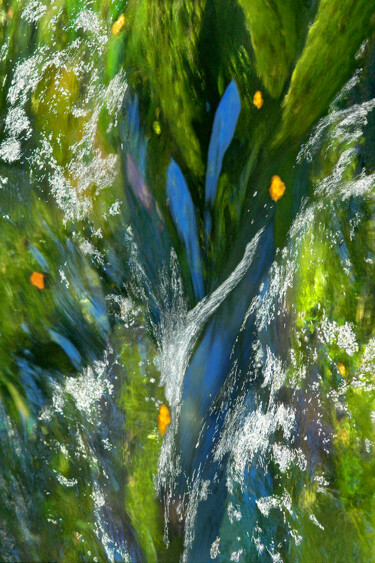 Fotografie getiteld "Les feuilles bleues" door Yabé, Origineel Kunstwerk, Digitale fotografie