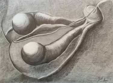 Dessin intitulée "CLITEROS I" par Yaël Moon, Œuvre d'art originale, Graphite