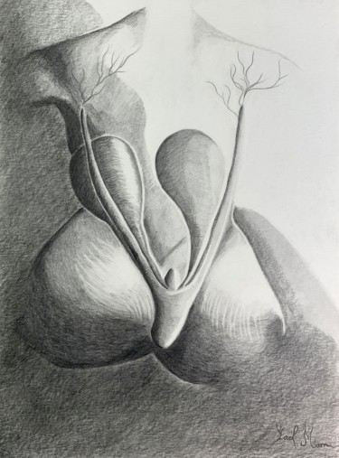 Drawing titled "Cliteros VI" by Yaël Moon, Original Artwork, Pencil