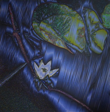 Digitale Kunst mit dem Titel "Wild lily" von Svitlana Yatsenko, Original-Kunstwerk, Digitale Malerei